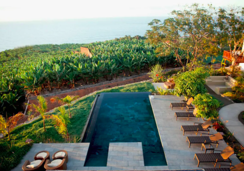 House for filming with swimming pool among banana trees