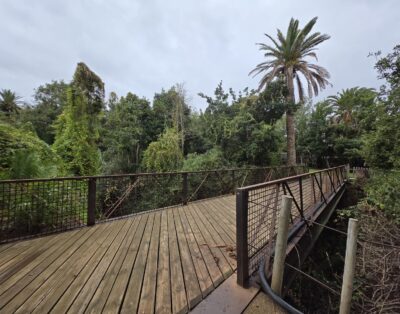 Urban park with gardens and vineyard areas
