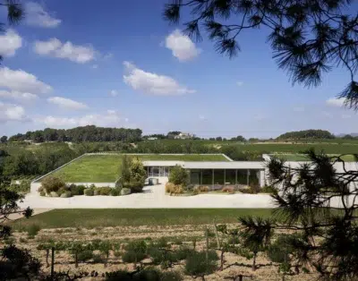 Finca vinícola  y arquitectura contemporánea